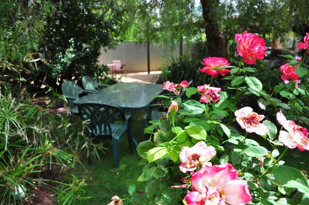 The Dove Cote Bed and Breakfast Tanunda Exteriör bild