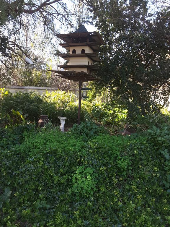 The Dove Cote Bed and Breakfast Tanunda Exteriör bild