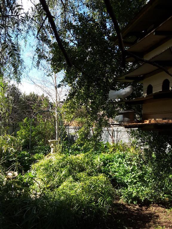 The Dove Cote Bed and Breakfast Tanunda Exteriör bild