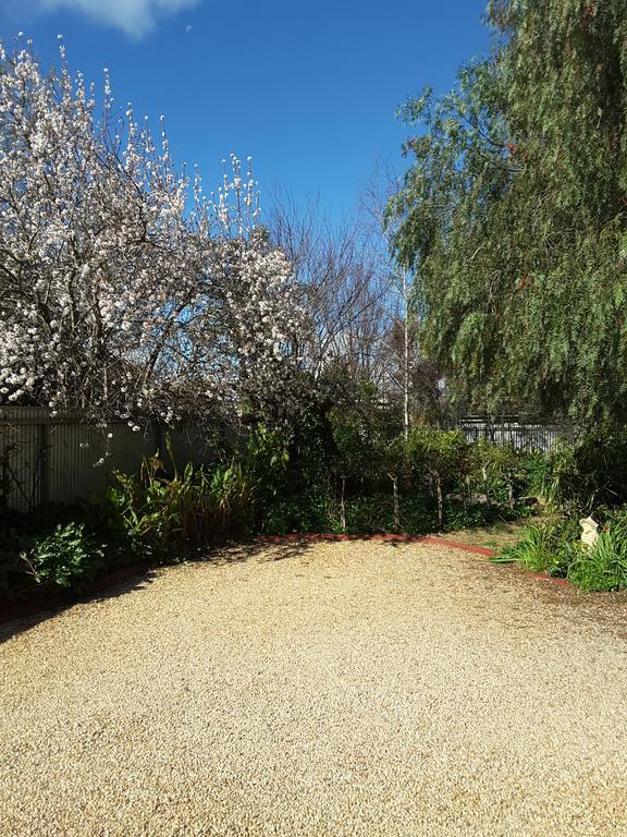 The Dove Cote Bed and Breakfast Tanunda Exteriör bild