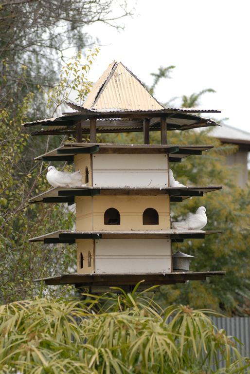The Dove Cote Bed and Breakfast Tanunda Exteriör bild