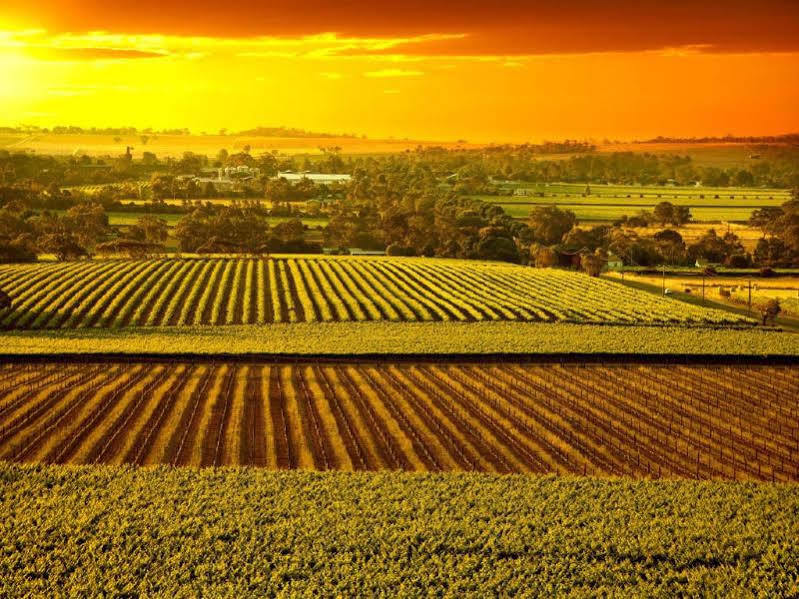 The Dove Cote Bed and Breakfast Tanunda Exteriör bild